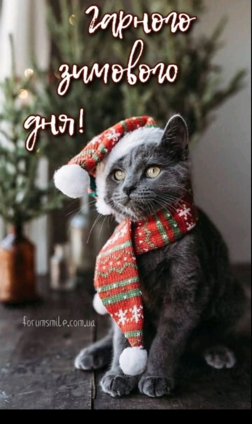 Гарного дня