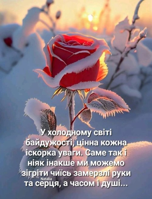 Мудрі слова