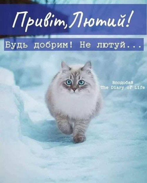 привіт, зима, лютий