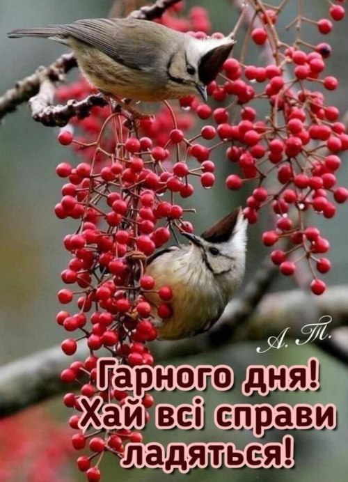 Гарного дня