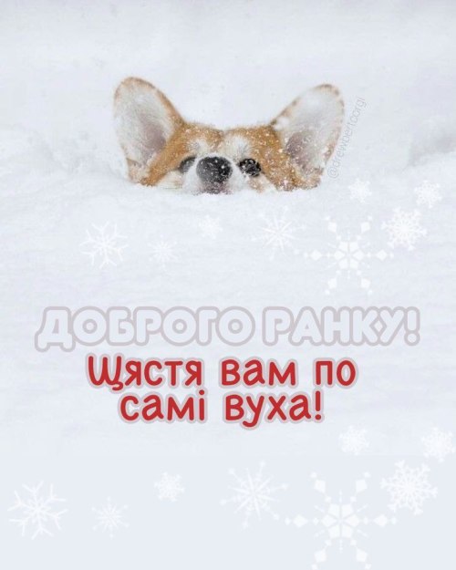 Доброго ранку