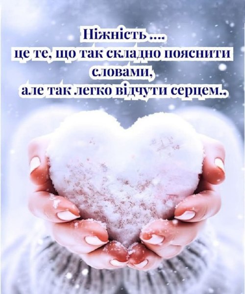 Мудрі слова