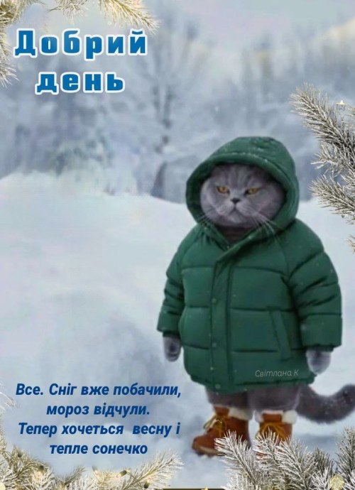 Доброго дня