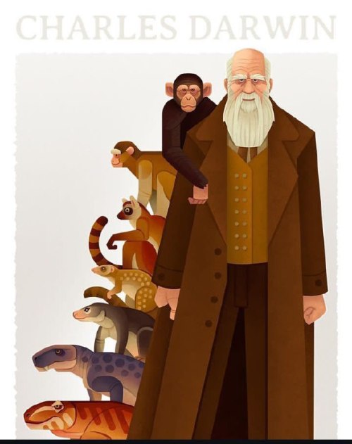 свята, еволюція, 