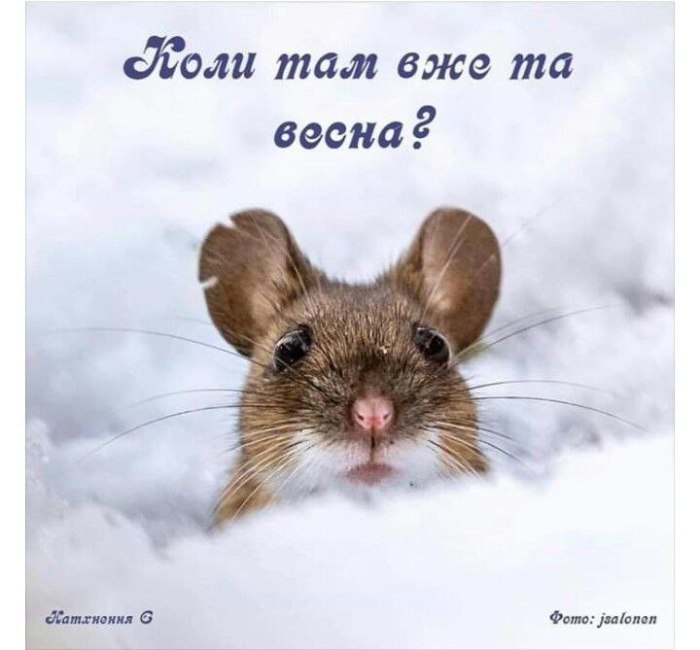 зима, весна