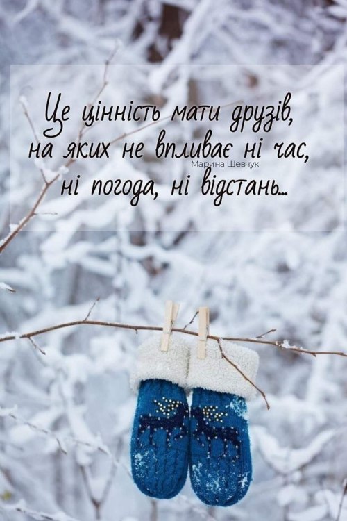 Мудрі слова, дружба