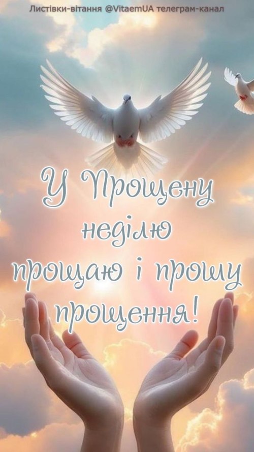 прощена неділя, пробач, листівки