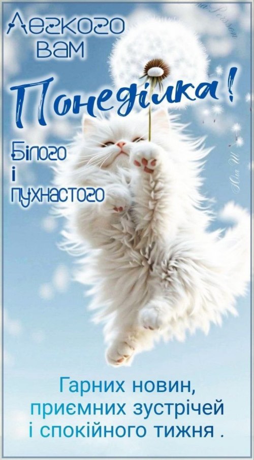 Гарного дня