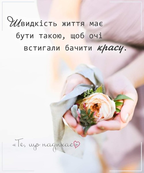 Мудрі слова