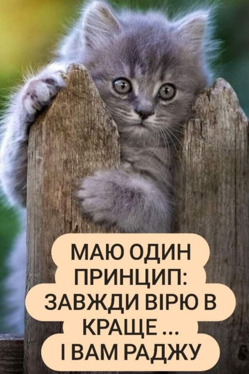 Мудрі слова