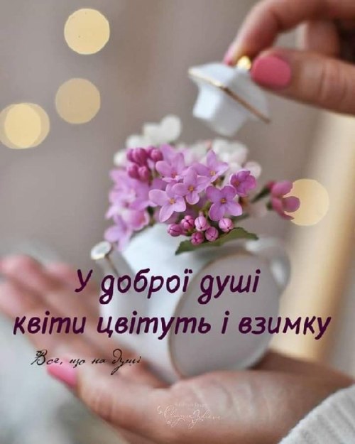 Мудрі слова