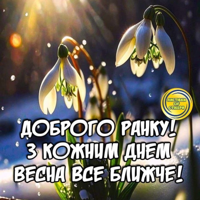 Доброго ранку