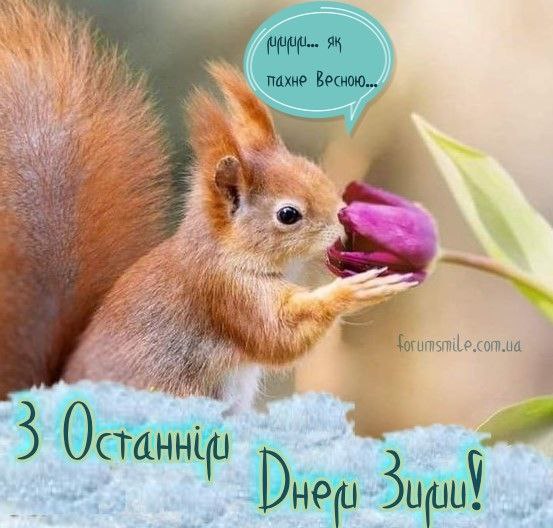 весна, зима