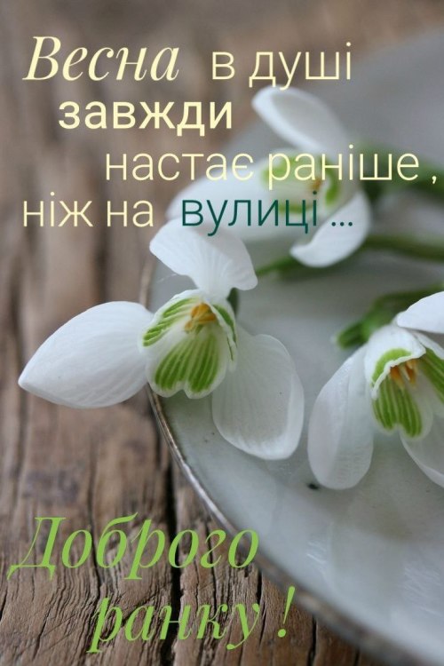 Доброго ранку, весна
