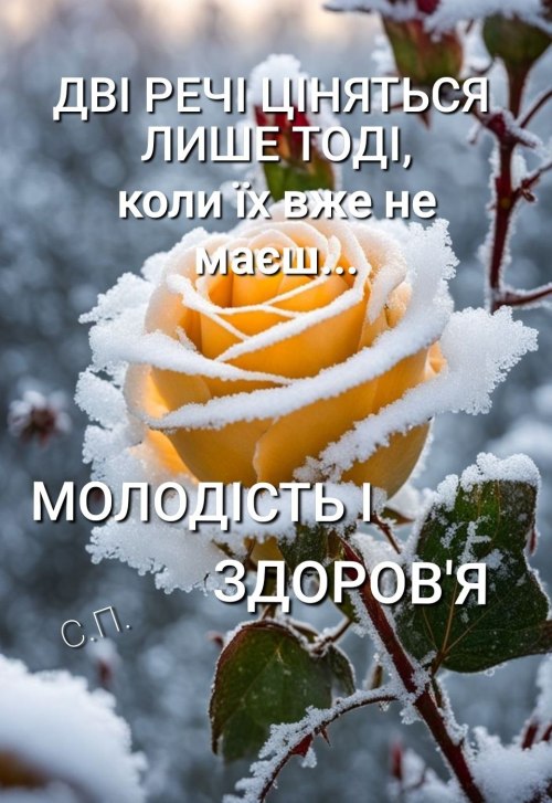 Мудрі слова