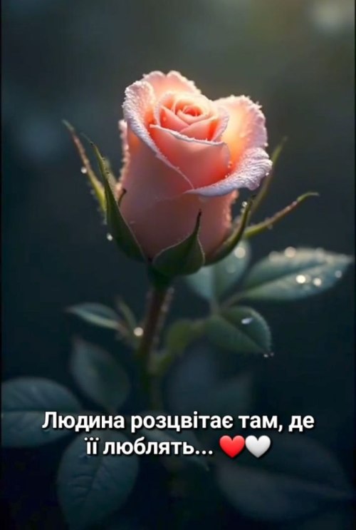 Мудрі слова