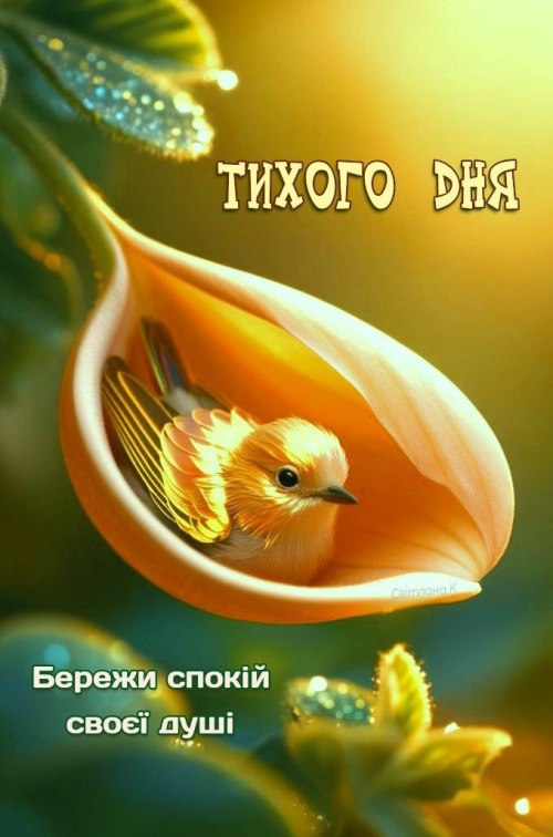 Гарного дня