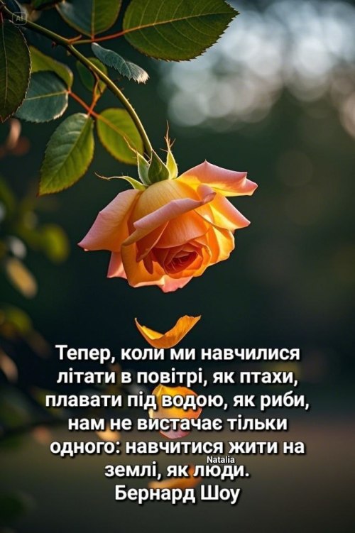 Мудрі слова