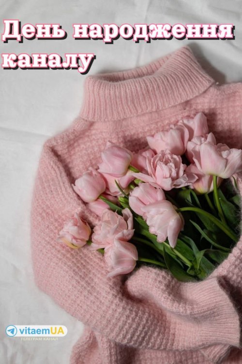 День народження, канал, noviber, nofb