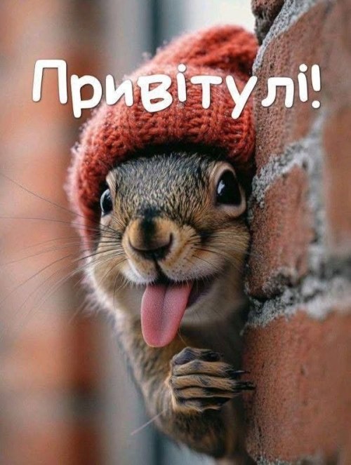 свята, свято, історія свята, З днем народження