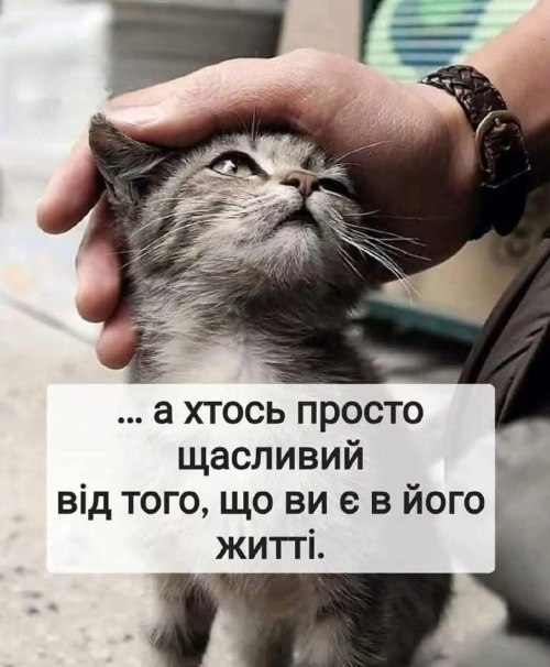 Мудрі слова