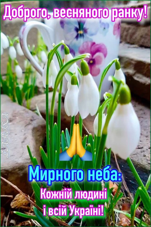 Доброго ранку