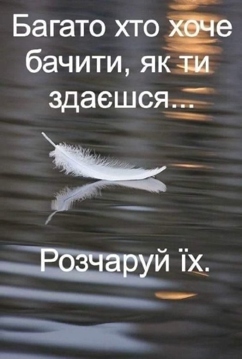 Мудрі слова