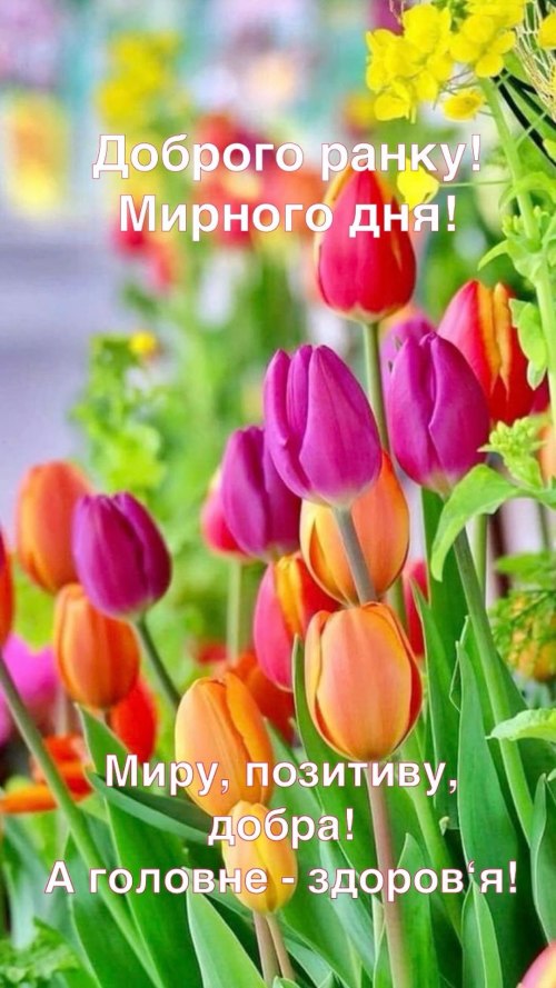 Доброго ранку