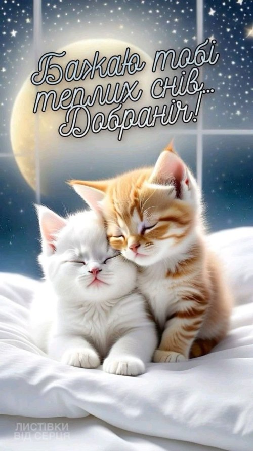 свята, свято, історія свята, З днем народження