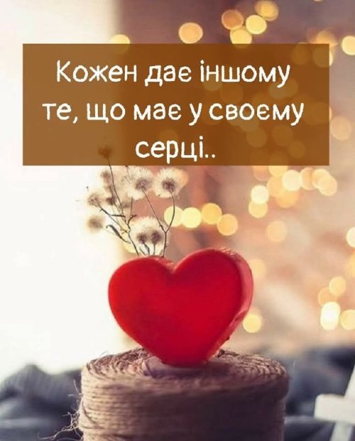 Мудрі слова