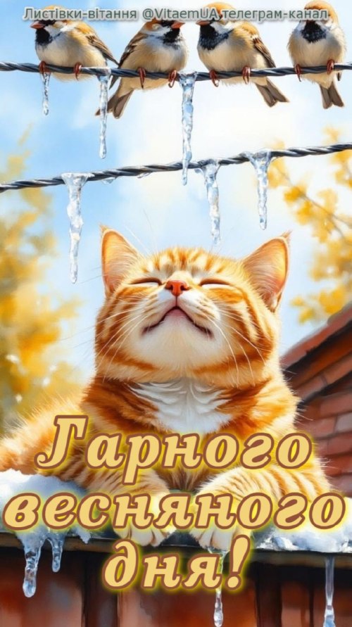 Гарного дня