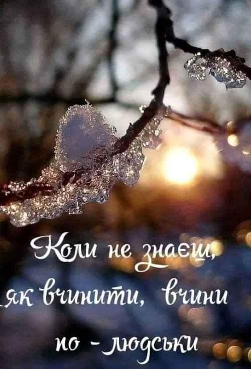 Мудрі слова