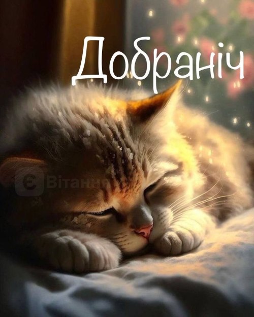 свята, свято, історія свята, З днем народження