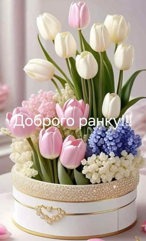 Доброго ранку