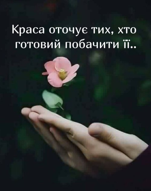 Мудрі слова