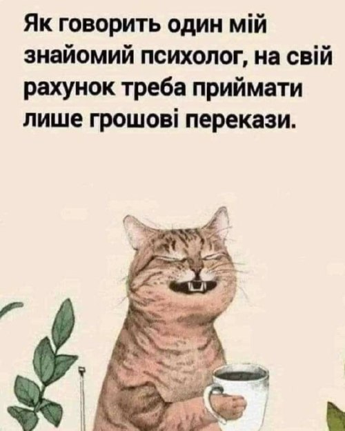 мудрий кіт, поради, мудрощі від кота, Мудрі слова