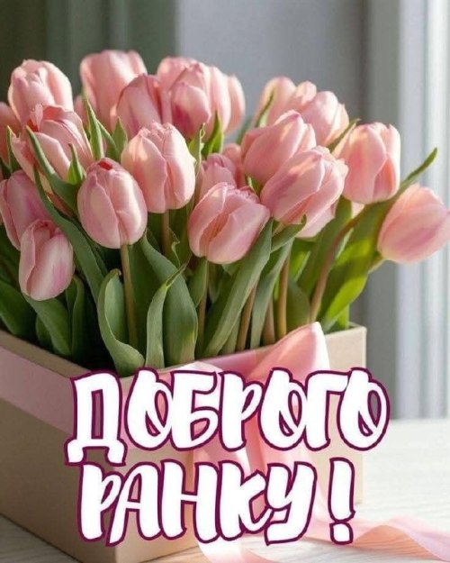 Доброго ранку