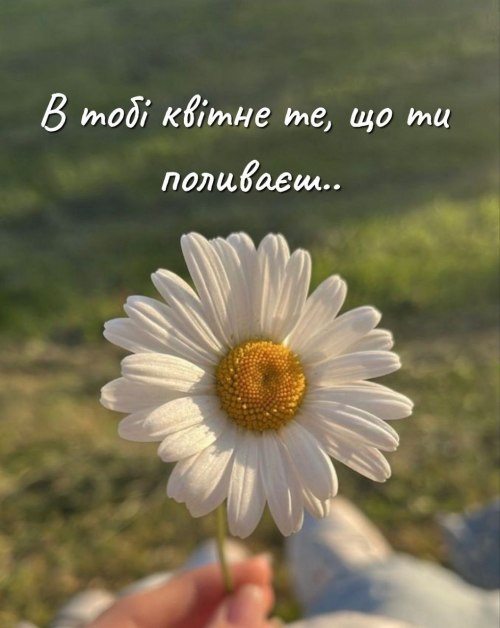 Мудрі слова