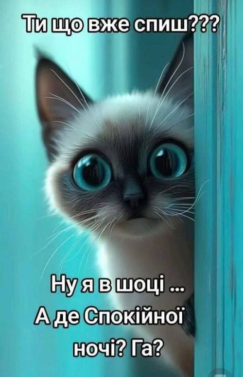 свята, свято, історія свята, З днем народження