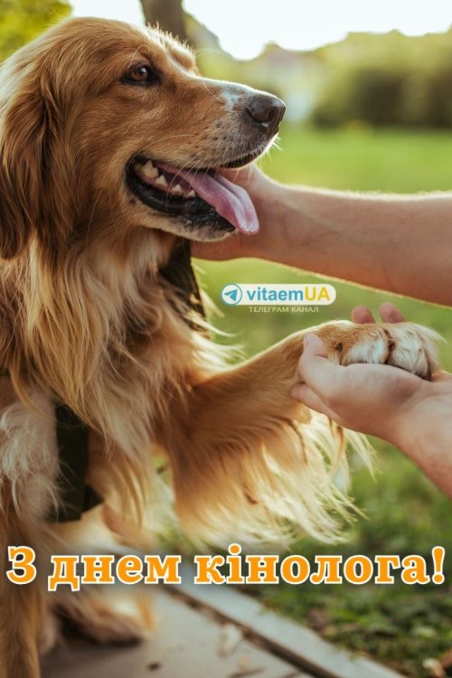 професійне свято, кінолог