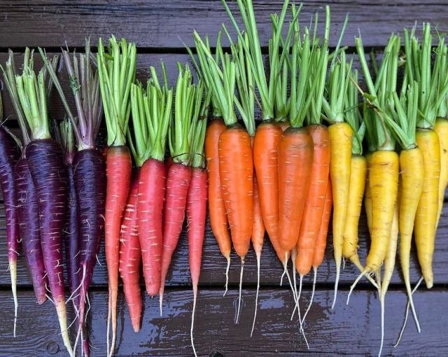 цікаві факти, морква