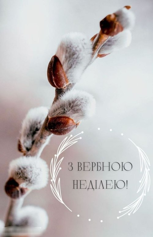 Вербна неділя, вітання