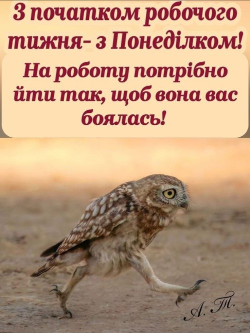 понеділок, побажання, гумор
