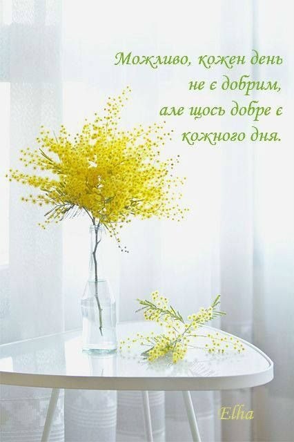 Мудрі слова