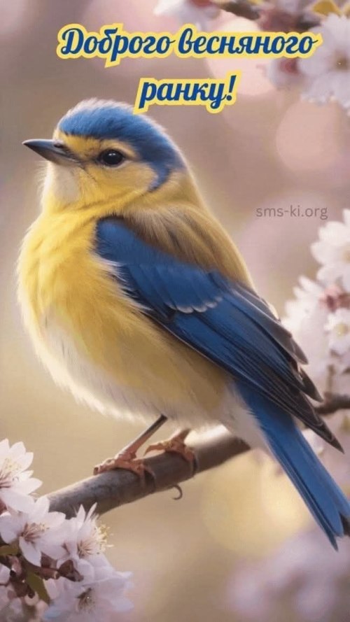 Доброго ранку