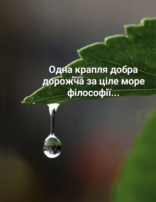 Мудрі слова