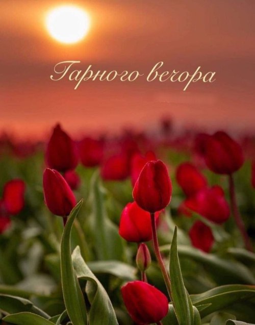 Гарного вечора