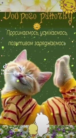 Доброго ранку