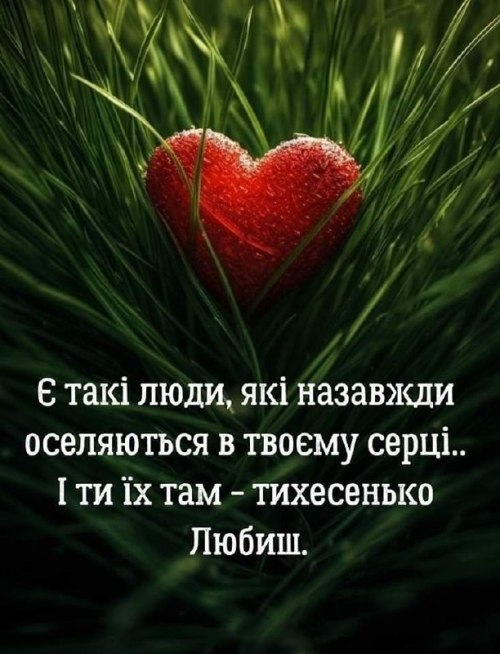 Мудрі слова