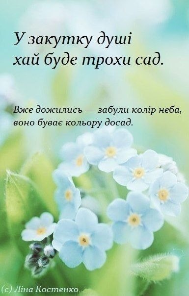 Мудрі слова